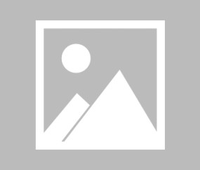 爱游戏官方-归来的奈克斯特雷迪